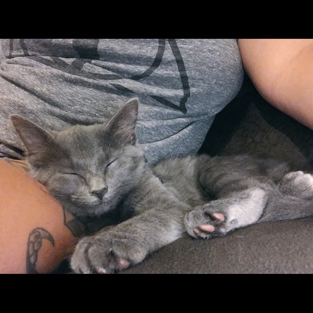 Meet your Posher, Bianca